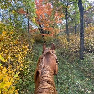 Meet your Posher, Mandie